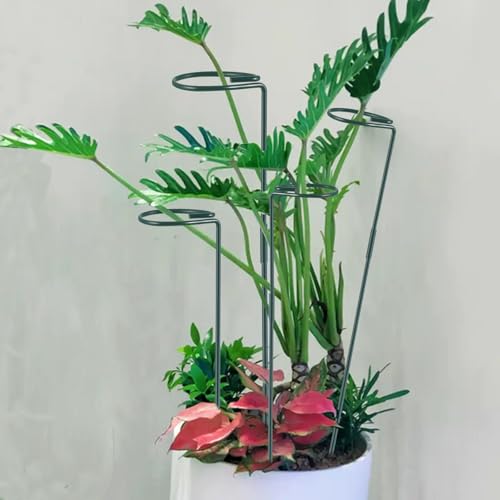 Plant Stake Support, Adjustable Height 16" or 30" for Garden Support Stake - size: 30inch