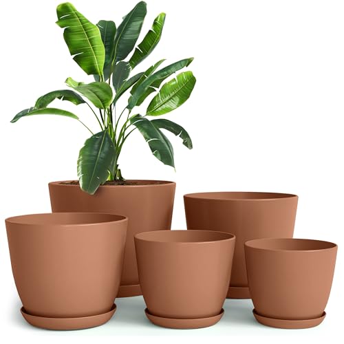 Plant Pots Indoor with Drainage, 5 Pack Multi-Size Planters Set, Terracotta - color: Terracotta, size: Pack of 5