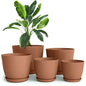 Plant Pots Indoor with Drainage, 5 Pack Multi-Size Planters Set, Terracotta - color: Terracotta, size: Pack of 5
