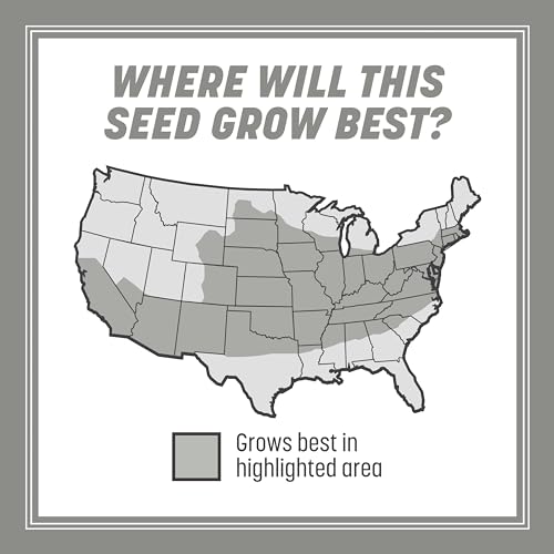 Pennington Contractors Central Grass Seed Mix, 7 lb - size: 7 Lb