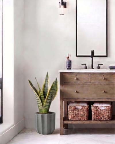 10 Inch Ceramic Plant Pot for Indoor Plants with Drainage Hole - color: Grey 10"