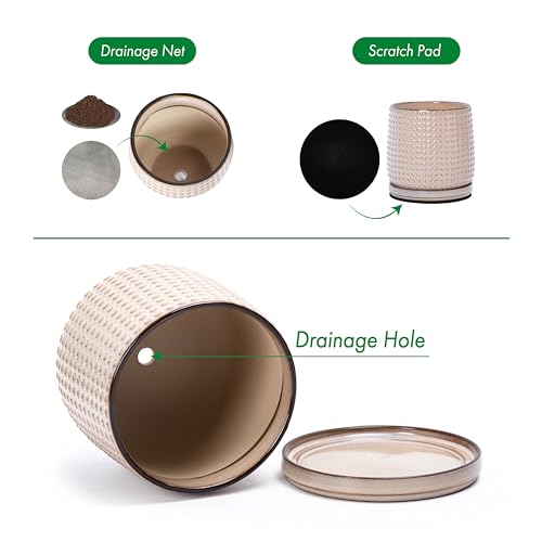 D'vine Dev 2-Pack Beaded Ceramic Pots, 6 in, Light Brown, 27-E-X-4 - color: Light Brown