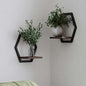 2 Pack Hexagon Wall Plant Stands, 9 Inch Walnut Wood Shelf Black - color: 2 Pack Black-a