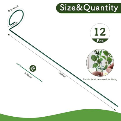 FEED GARDEN 24 Inch 12 Pack Plant Support Stakes, Metal Garden Flower Stakes and Supports for Outdoor Plants, Plant Stem Support with 24 Twist Ties for Amaryllis Lily Rose Peony Tomatoes Gladiolus - size: 24 Inch