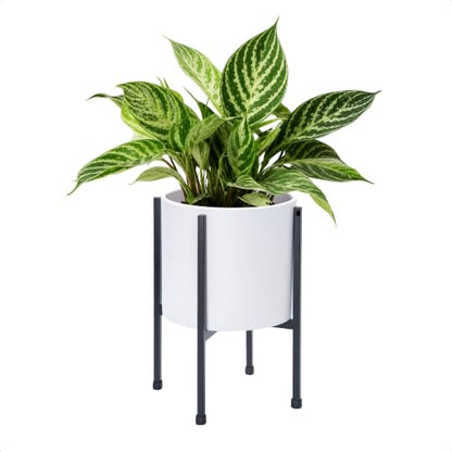 D'vine Dev Plastic Planter Pot with Metal Stand, White, 8 in, 55-D-A-1 - color: White, size: 8 Inch