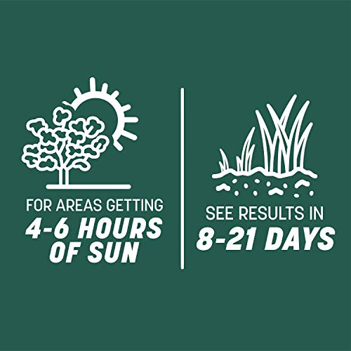 Pennington Smart Seed Sun and Shade Mix North Grass Seed, 20 lb - size: Sun & Shade North,20lb