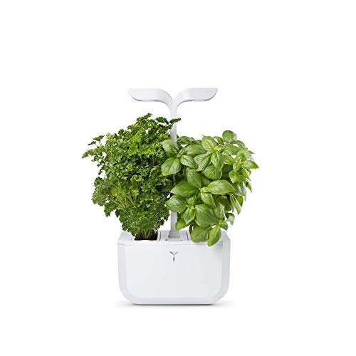 Veritable Exky Classic Indoor Garden, Arctic White