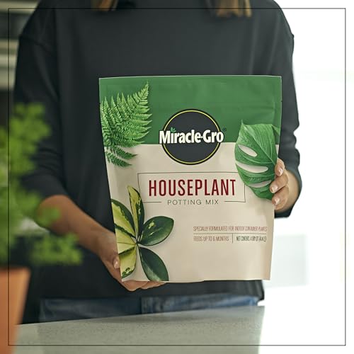 Miracle-Gro Houseplant Potting Mix, 4 qt. (2-Pack) - size: 2 Pack, style: Houseplant