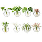 8PCS Wall Mounted Vase, Glass Wall Vase Propagation Wallmount Hanging Planters for Hydroponics with Traceless Nails for Home Office Living Room