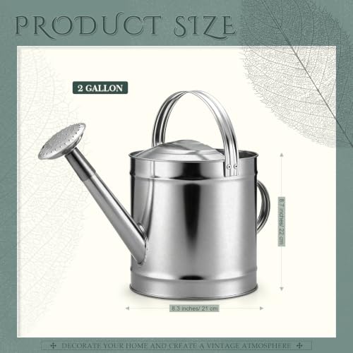 Geetery 2 Gallon Galvanized Metal Watering Can, Removable Spout,Silver - size: 2 Gallon