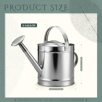 Geetery 2 Gallon Galvanized Metal Watering Can, Removable Spout,Silver - size: 2 Gallon