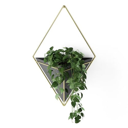 Umbra Trigg Wall Display, Large Geometric Planter Vessel, Black/Brass - color: Black/Brass, size: Large