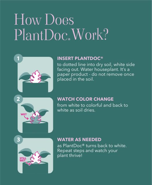 Paper-Based Soil Moisture Meter for Houseplants – Know When to Water, Prevent Overwatering – 5 Pack (PlantDoc Kitty) - style: Kitty PlantDoc - 5 Pack