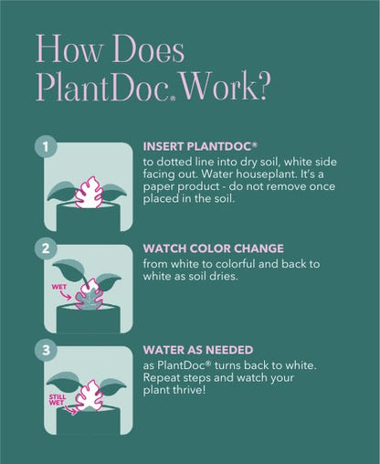 Paper-Based Soil Moisture Meter for Houseplants – Know When to Water, Prevent Overwatering – 5 Pack (PlantDoc Monstera) - style: Monstera PlantDoc - 5 Pack