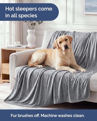 Cooling Blanket for Hot Sleepers - Cold Blanket Throw - Dark Grey, 50 x 60 - color: 02 - Dark Grey, size: Throw (50" x 60")