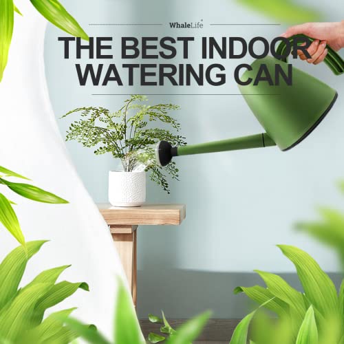 Indoor House Plant Watering Can Small Long Spout Water Pot 2L/67oz (Green) - color: Green