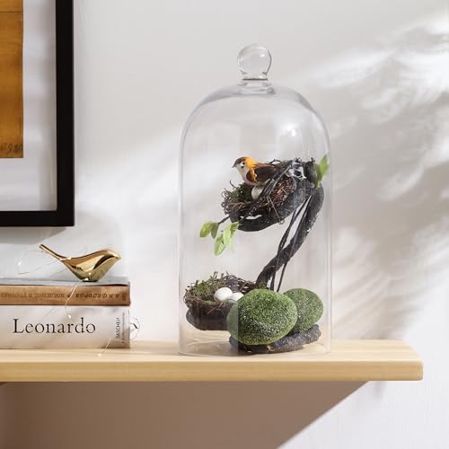 KMwares Clear Glass Display Dome Cloche Bell Jar Tabletop Decorative Case Covered Plants/Food (Medium) - size: Medium