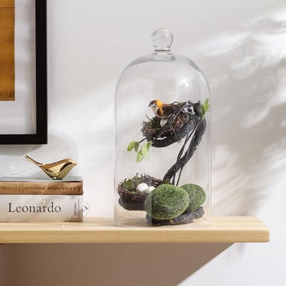 KMwares Clear Glass Display Dome Cloche Bell Jar Tabletop Decorative Case Covered Plants/Food (Medium) - size: Medium