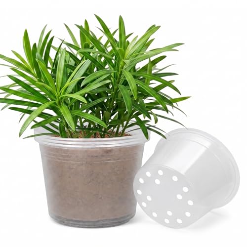 10 Inch Clear Nursery Pots with Drainage Holes, 4 Pack Flexible Large Plant Pots for Plants, Plastic Clear Nursery Pots for Seedling, Shrubs, Herbs, Flowers, Vegetables - size: 10 Inch