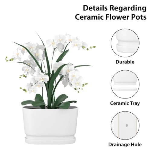 8.9" Rectangular Ceramic Planter with Drainage and Saucer, White - color: Matte White, size: Medium