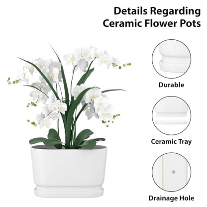 8.9" Rectangular Ceramic Planter with Drainage and Saucer, White - color: Matte White, size: Medium