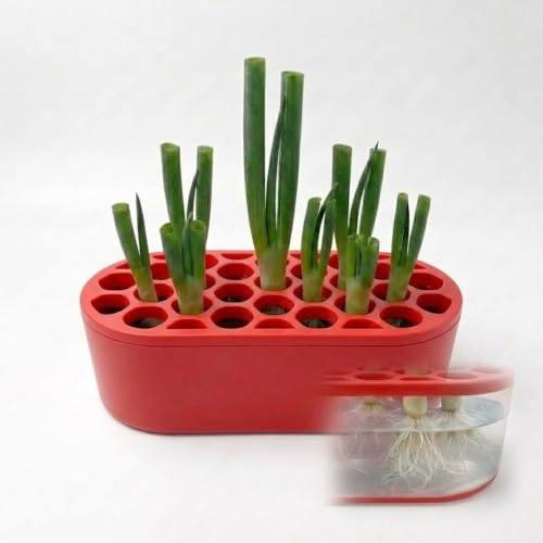 Mini Indoor Herb Garden Planter Kit, Rectangle Window Box for Green Onion, Basil & Succulents, Compact Windowsill Scallion Growing Set for Balcony & Small Spaces（Red） - color: Red