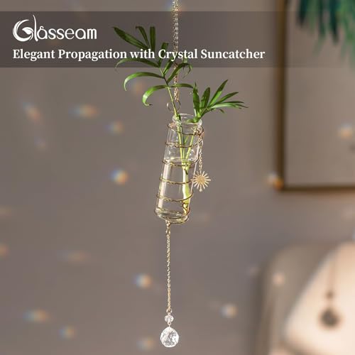 Glasseam 4 Pack Hanging Plant Propagation Stations with Crystal Suncatchers