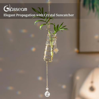 Glasseam 4 Pack Hanging Plant Propagation Stations with Crystal Suncatchers