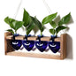 Plant Propagation Stations Heart Plant Terrarium Kit - color: Blue