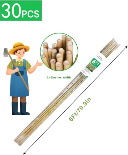 Natural Bamboo Plant Stake（6FT 30Pcs） Sturdy Bamboo Poles, Durable Plant Bamboo Stake, Garden Climbing Plant Bracket. - size: 6ft-30PCS