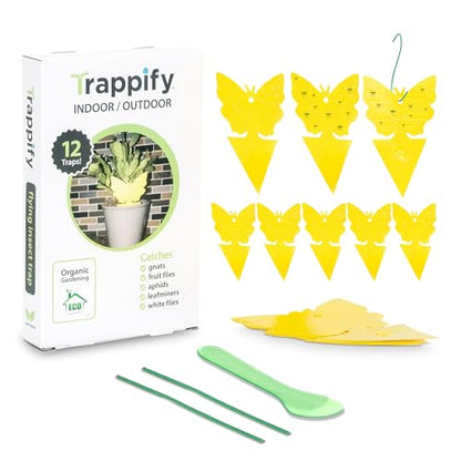 Trappify Gnat Traps for House Indoor and Outdoor | Fruit Fly Trap 12 Pack