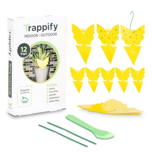 Trappify Gnat Traps for House Indoor and Outdoor | Fruit Fly Trap 12 Pack
