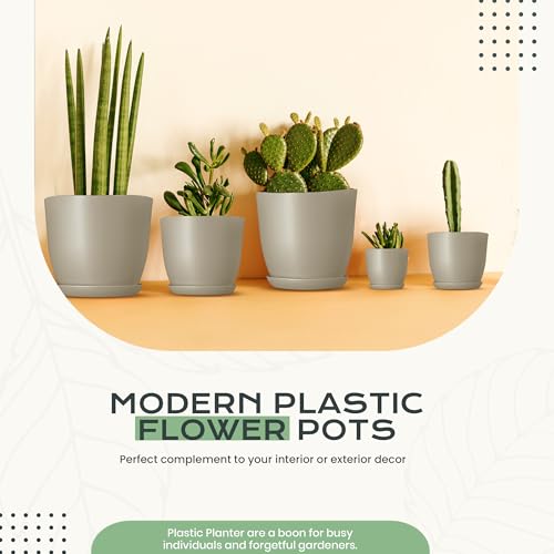 Plant Pots Indoor with Drainage, 10 Pack Multi-Size Planters Set, Grey - color: Gray, size: Pack of 10