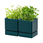 D'vine Dev 2-Pack Plastic Herb Planter Pots, 4 in, Green, 76-Y-C-1 - color: Green, size: 8 Inch x 4.5 Inch