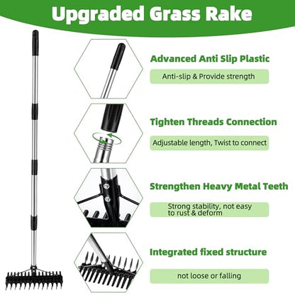 Thatch Rake for Lawns 36-63" Stainless Steel Adjustable Handle
