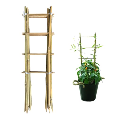 Natural Bamboo Trellis 16inch for Climbing Plants 6 Pack - Plant Ladder Trellis with Garden Ties, Outdoor Decorative Plant Support Stakes for Vines Flowers Vegetables (Ladder-Shape) - size: Ladder-Shape
