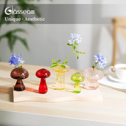 Glasseam Mushroom Plant Propagation Station: 5 Pcs Glass Mini Terrarium - color: Colorful, size: 5