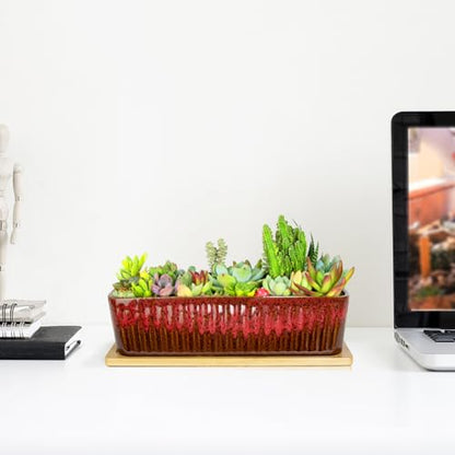 Succulent Pots, 12'' Long Rectangle Planters with Tray, Windowsill Planter - color: Red