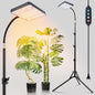 FECiDA High Output Tall Grow Lights for Indoor Plants with Stand and Timer - size: 1-Head