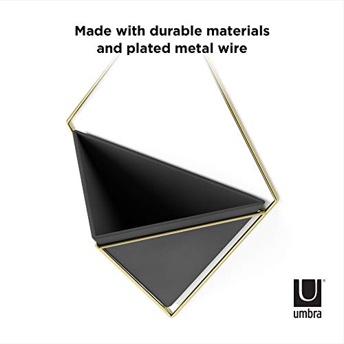Umbra Trigg Wall Display, Large Geometric Planter Vessel, Black/Brass - color: Black/Brass, size: Large