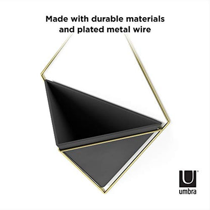 Umbra Trigg Wall Display, Large Geometric Planter Vessel, Black/Brass - color: Black/Brass, size: Large