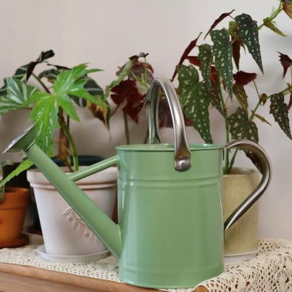 Metal Watering Can 1 Gallon for Outdoor Garden Plants, CGreen - color: Cream Green