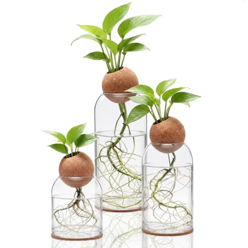 Baderke 3 Pcs Glass Plant Propagation Vase W/Hole Stopper and Pad