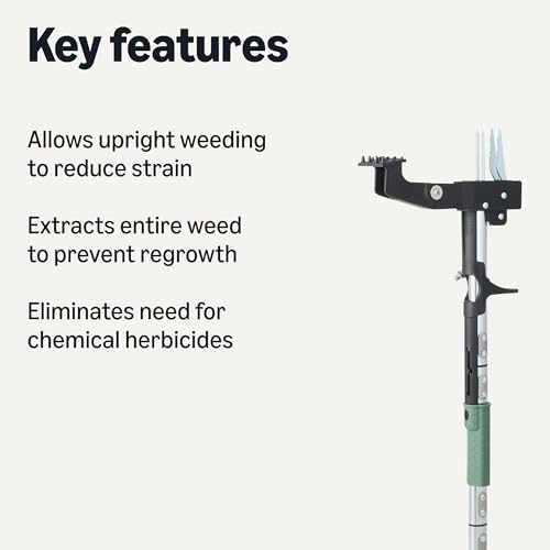 Amazon Basics Stand Up Weed Puller for Garden and Backyard, 4 Claw, 39.61", Black/Olive - style: Weed Puller