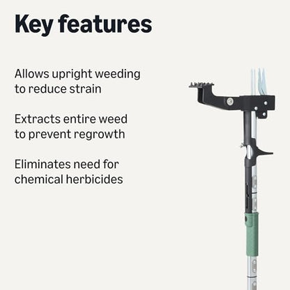 Amazon Basics Stand Up Weed Puller for Garden and Backyard, 4 Claw, 39.61", Black/Olive - style: Weed Puller