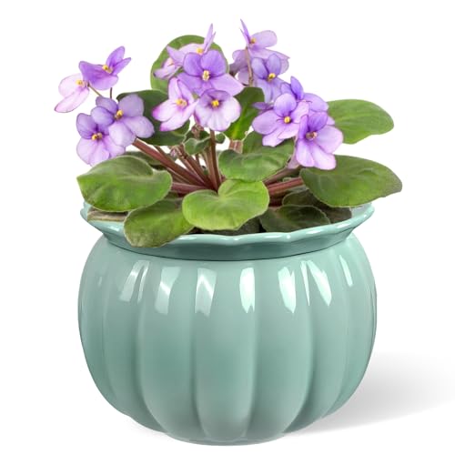BUYMAX 6 Inch Self Watering Ceramic African Violet Pot Indoor Plant Pot - color: Pumpkin-blue