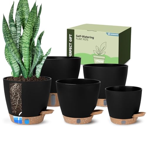 Self-Watering Pots for Indoor Plants with Visible Water Window,5/6/6.5/8/10 Inch Outdoor Flower Pots with Drainage Holes & Reservoir for Patio, Home Decor (Black) - color: Black, size: 5+6+6.5+8+10 inch