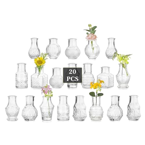 Glasseam Mini Bud Vases for Centerpieces: 20Pcs Clear Glass Vases in Bulk - size: 20pcs