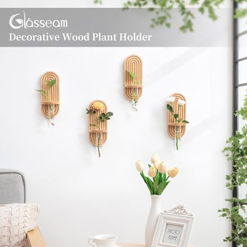 Glasseam Wall Plant Propagation Station: Hanging Glass Propagation Vases