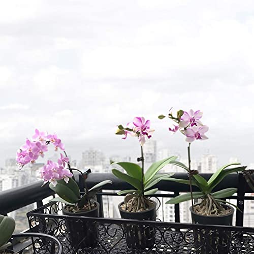 3 Inch Hydroponic Net Pots with Plant Labels 30-Pack - size: 3 inch 30 packs